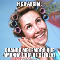 FICO ASSIM ,QUANDO ME LEMBRO QUE AMANHÃ É DIA DE CÉLULA !