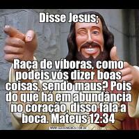 Disse Jesus;Raça de víboras, como podeis vós dizer boas coisas, sendo maus? Pois do que há em abundância no coração, disso fala a boca. Mateus 12:34