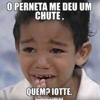 O PERNETA ME DEU UM CHUTE ,QUEM? IOTTE.