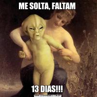 ME SOLTA, FALTAM 13 DIAS!!! 