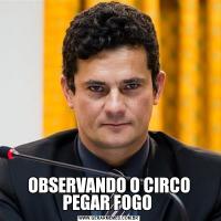 OBSERVANDO O CIRCO PEGAR FOGO 