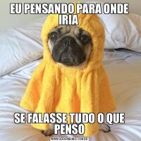 EU PENSANDO PARA ONDE IRIA SE FALASSE TUDO O QUE PENSO