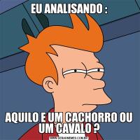 EU ANALISANDO :AQUILO E UM CACHORRO OU UM CAVALO ?