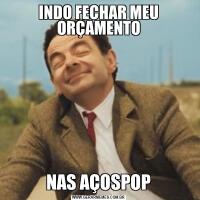 INDO FECHAR MEU ORÇAMENTONAS AÇOSPOP