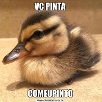 VC PINTACOMEUPINTO