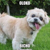 OLOKOBICHO