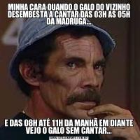 MINHA CARA QUANDO O GALO DO VIZINHO DESEMBESTA A CANTAR DAS 03H AS 05H DA MADRUGA...E DAS 08H ATÉ 11H DA MANHÃ EM DIANTE VEJO O GALO SEM CANTAR...