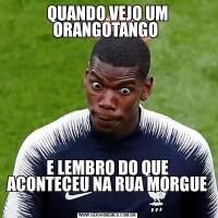 QUANDO VEJO UM ORANGOTANGO E LEMBRO DO QUE ACONTECEU NA RUA MORGUE 