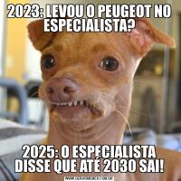 2023: LEVOU O PEUGEOT NO ESPECIALISTA?2025: O ESPECIALISTA DISSE QUE ATÉ 2030 SAI!