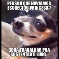 PENSOU QUE HAVIAMOS ESQUECIDO PRINCESA?BORA TRABALHAR PRA SUSTENTAR O LUXO. 