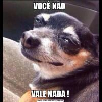VOCÊ NÃO VALE NADA !