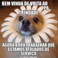 BEM VINDA DE VOLTA AO                                                   PA TRINDADEAGORA BORA TRABALHAR QUE ESTAMOS ATOLADOS DE SERVIÇO