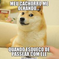 MEU CACHORRO ME OLHANDO... QUANDO ESQUEÇO DE PASSEAR COM ELE