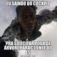 EU SAINDO DO COCKPITPRA SOLICITAR PODA DE ÁRVORE PARA CLIENTE DO ES