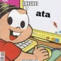 CHEGUEI