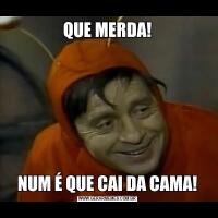 QUE MERDA!NUM É QUE CAI DA CAMA!