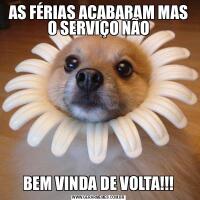 AS FÉRIAS ACABARAM MAS O SERVIÇO NÃOBEM VINDA DE VOLTA!!!