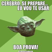 CERÉBRO, SE PREPARE...                   EU VOU TE USARBOA PROVA!
