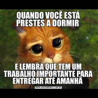 QUANDO VOCÊ ESTÁ PRESTES A DORMIR E LEMBRA QUE TEM UM TRABALHO IMPORTANTE PARA ENTREGAR ATÉ AMANHÃ 