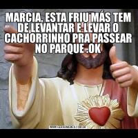 MARCIA, ESTA FRIU MÁS TEM DE LEVANTAR E LEVAR O CACHORRINHO PRA PASSEAR NO PARQUE .OK