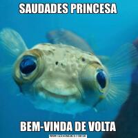 SAUDADES PRINCESABEM-VINDA DE VOLTA