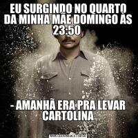 EU SURGINDO NO QUARTO DA MINHA MÃE DOMINGO ÀS 23:50 - AMANHÃ ERA PRA LEVAR CARTOLINA
