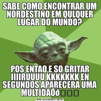 SABE COMO ENCONTRAR UM NORDESTINO EM QULQUER LUGAR DO MUNDO?POS ENTAO E SO GRITAR IIIIRUUUU KKKKKKK EN SEGUNDOS APARECERA UMA MULTIDAÕ
