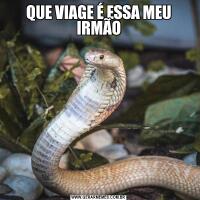 QUE VIAGE É ESSA MEU IRMÃO