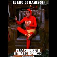 EU FALO  DO FLAMENGOPARA ESQUECER A SITUAÇÃO DO VASCO!
