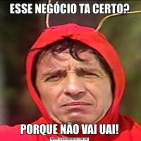 ESSE NEGÓCIO TA CERTO?PORQUE NÃO VAI UAI!