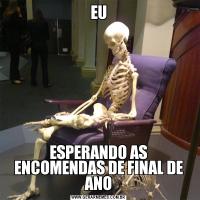 EUESPERANDO AS ENCOMENDAS DE FINAL DE ANO