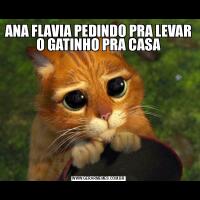 ANA FLAVIA PEDINDO PRA LEVAR O GATINHO PRA CASA