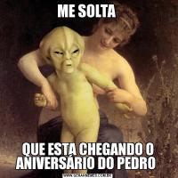 ME SOLTA QUE ESTA CHEGANDO O ANIVERSÁRIO DO PEDRO 