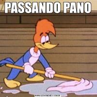 PASSANDO PANO