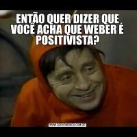 ENTÃO QUER DIZER QUE VOCÊ ACHA QUE WEBER É POSITIVISTA?