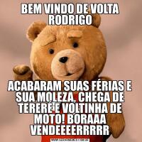 BEM VINDO DE VOLTA RODRIGOACABARAM SUAS FÉRIAS E SUA MOLEZA, CHEGA DE TERERÉ E VOLTINHA DE MOTO! BORAAA VENDEEEERRRRR