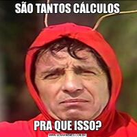 SÃO TANTOS CÁLCULOSPRA QUE ISSO?