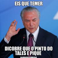 EIS QUE TEMERDICOBRE QUE O PINTO DO TALES E PIQUE 