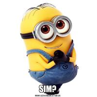 SIM?
