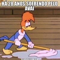 HÁ 28 ANOS SOFRENDO PELO AVAI