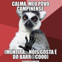 CALMA, MEU POVO CAMPINENSE (MENTIRA....NÓIS GOSTA É DO BARR@COOO)
