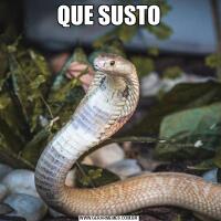 QUE SUSTO