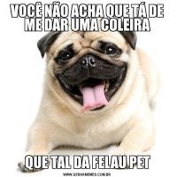 VOCÊ NÃO ACHA QUE TÁ DE ME DAR UMA COLEIRAQUE TAL DA FELAU PET