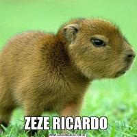 ZEZE RICARDO 