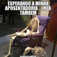 ESPERANDO A MINHA APOSENTADORIA .....REX TAMBÉM