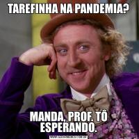 TAREFINHA NA PANDEMIA?MANDA, PROF. TÔ ESPERANDO.