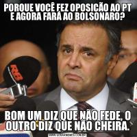 PORQUE VOCÊ FEZ OPOSIÇÃO AO PT E AGORA FARÁ AO BOLSONARO?BOM UM DIZ QUE NÃO FEDE, O OUTRO DIZ QUE NÃO CHEIRA.
