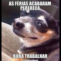 AS FÉRIAS ACABARAM PERERÉCABORA TRABALHAR