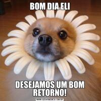 BOM DIA ELIDESEJAMOS UM BOM RETORNO!