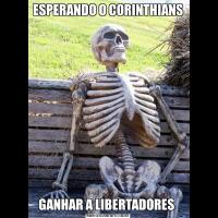 ESPERANDO O CORINTHIANSGANHAR A LIBERTADORES 